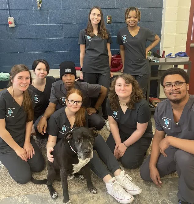 Lisa Spencer tweet media