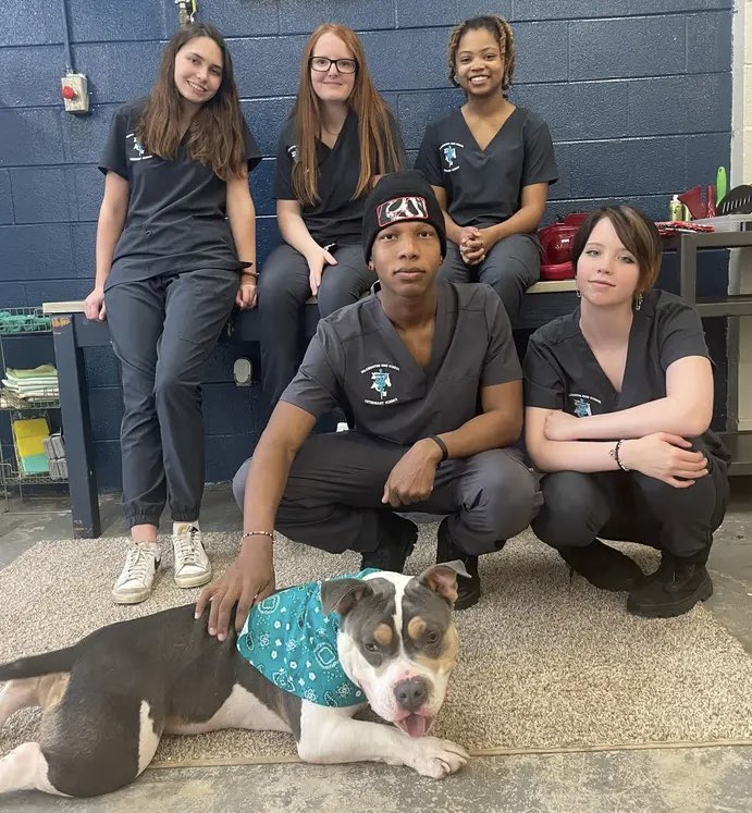 Mrs. Massie, WHS Agricultural teacher has implemented Veterinary program this year and have accomplished lots of hands-on opportunities for her students from paid internships, dog grooming and more <a href="/CTEforNC/">NC Career and Technical Education</a> <a href="/BeaufortCoSchNC/">Beaufort County Schools</a> <a href="/BCS_CTE/">BCS_CTE</a>