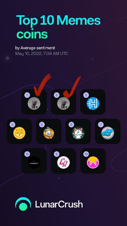 bonsai🌴 tweet media