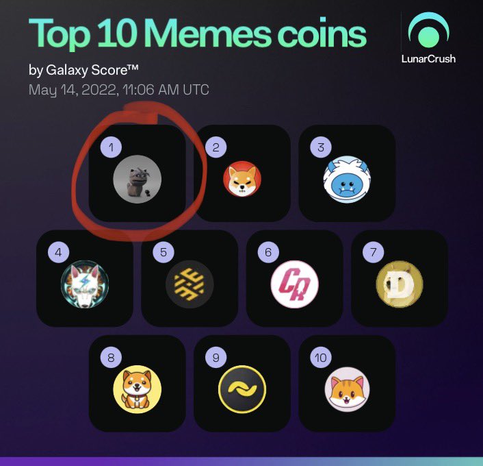 bonsai🌴 tweet media