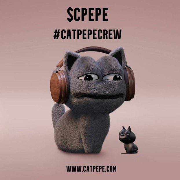 bonsai🌴 tweet media