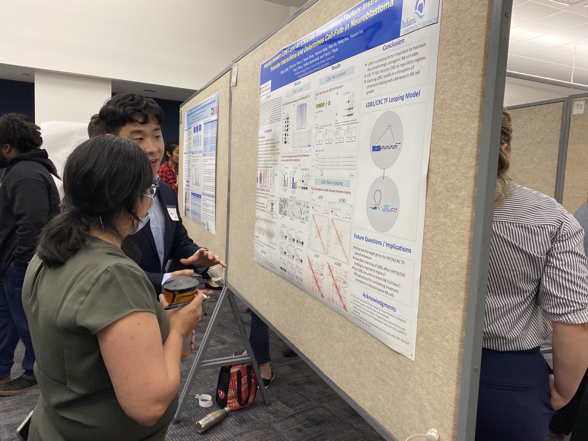 Thigale's tweet photo. Jason Hong sharing his research on MYCN interactor LKB1 on post Bac poster day at NIH- sad to lose him but know he will do well at U Pitt MD/PhD program this June. https://t.co/mB5m8zIF10