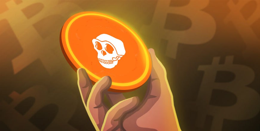 Lm19771314's tweet photo. A cryptocurrency with a strong community.
Meet APESCHAIN $APES!
@apes_chain
#APESARMY #APES #APESARMYSTRONG #Woofswap #ApesChain https://t.co/pfI7Eu94K0 https://t.co/OyvsWWa6Kl