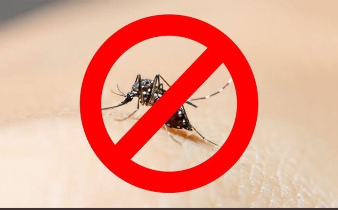 Attn: PCO Dept <a href="/mybmcWardHW/">Ward HW BMC</a> 
<a href="/mybmcWardPN/">Ward PN BMC</a>

Increased Mosquito Nusaince, Kindly  Do Anti Larval Treatment &amp; Fumigation

Location: Ambojwadi, nearby moiniya masjid, malwani Malad West Mumbai 400095.
Mob No 7045900541