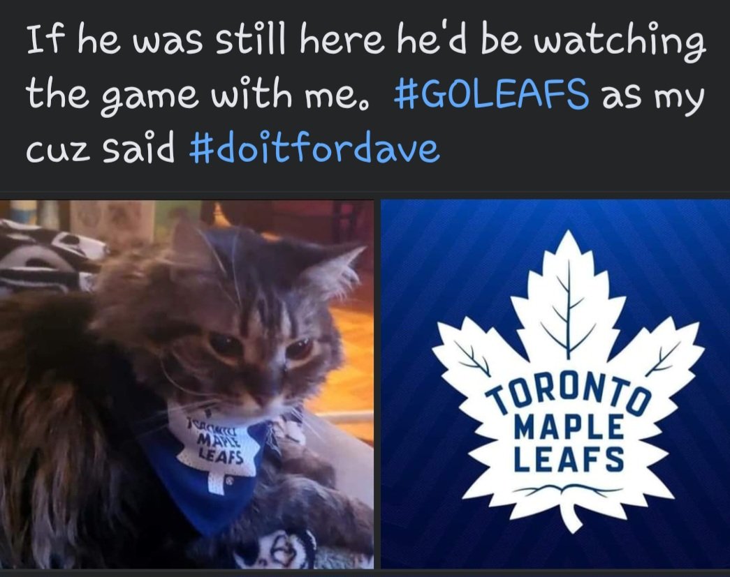bettyboopboopy's tweet image. #GoLeafsGo #doitfordave