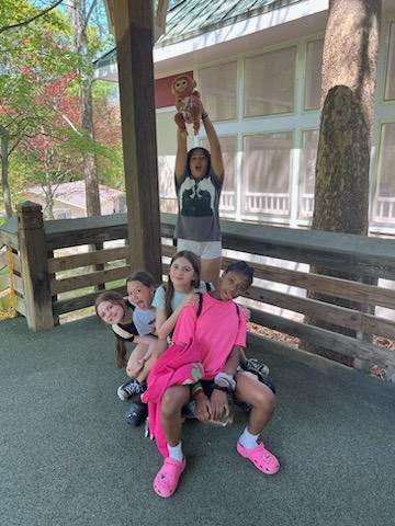 Lions Tigers and AVID - OH MY!!! Our 6th graders had a blast at the Zoo today! #AVIDAACPS #fieldtripadventures