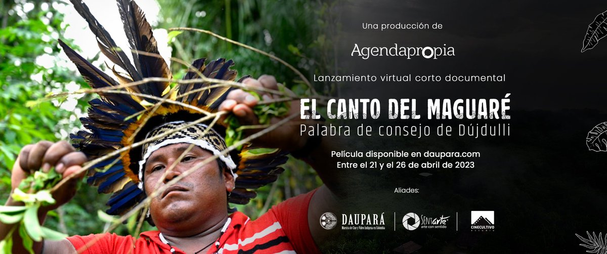 agendapropiaap's tweet photo. 🎥¡Tendremos estreno!
En alianza con @Daupara haremos la presentación virtual de nuestro corto documental "El canto del maguaré. Palabra de consejo de Dújdulli".
🗓️ 21 al 26 de abril en https://t.co/UUcGu8Cd65
🎞️Tráiler: https://t.co/2QNzBq9gD4
Una producción de @agendapropiaap. https://t.co/vd4E8RgoqV