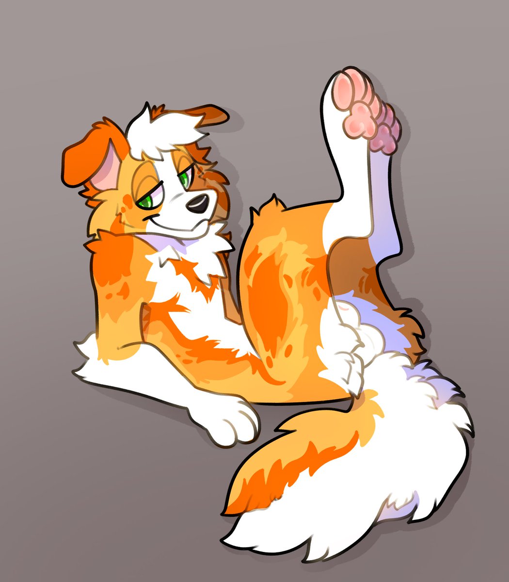 Creamedsicle's tweet photo. Stretching out the pawbs https://t.co/I7MuEeJ7Sq