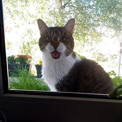 YannikMvG tweet media