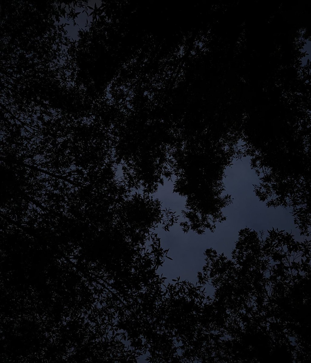 Cryptanics's tweet photo. Midnight Blue https://t.co/6H6LMkReg2