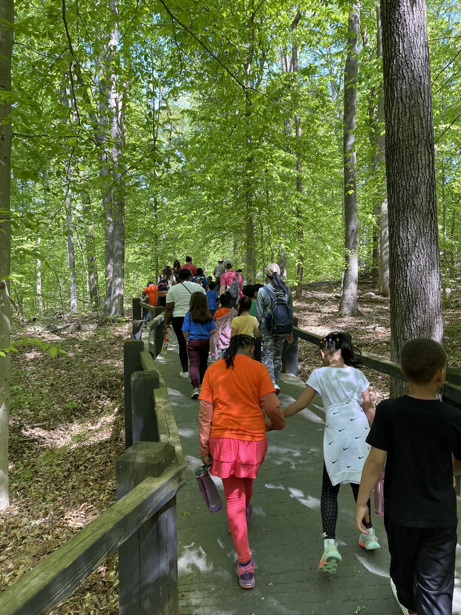 Mrs. Parker's swans tweet media