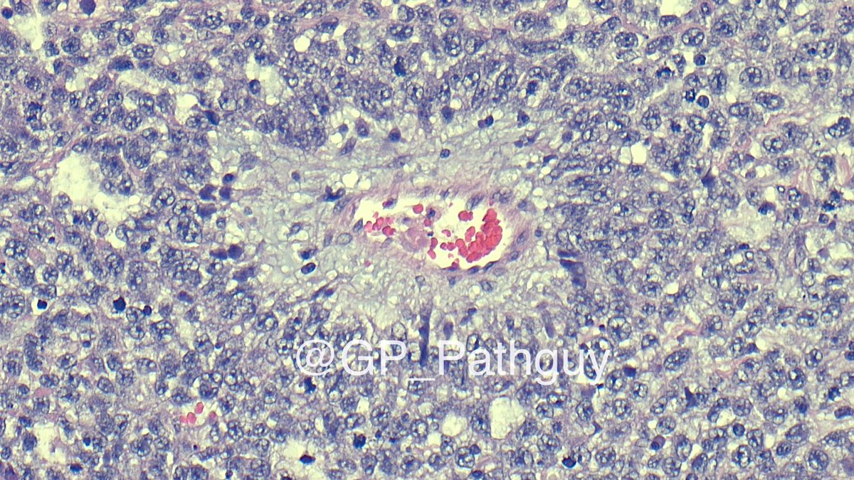 Glenn Murray tweet media