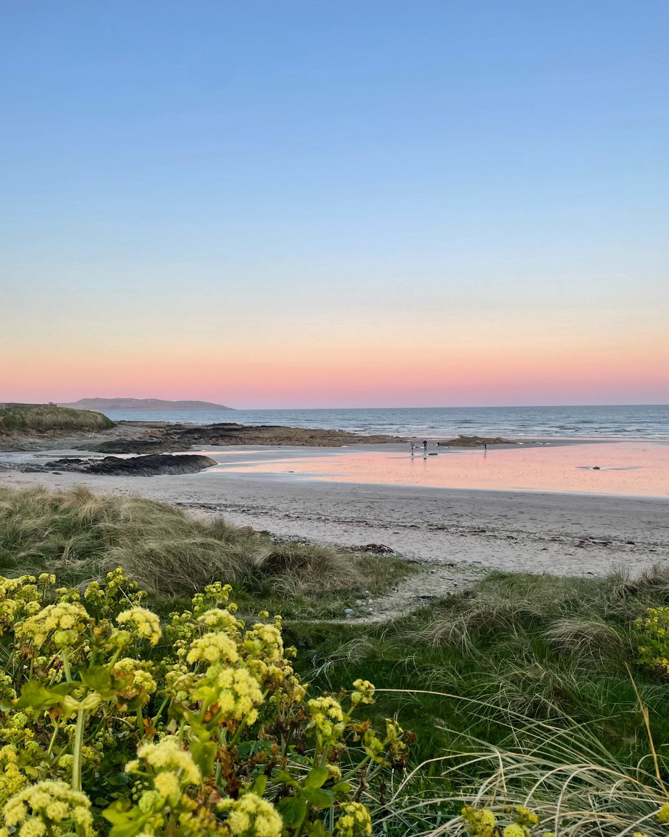 Ciara Carroll tweet media