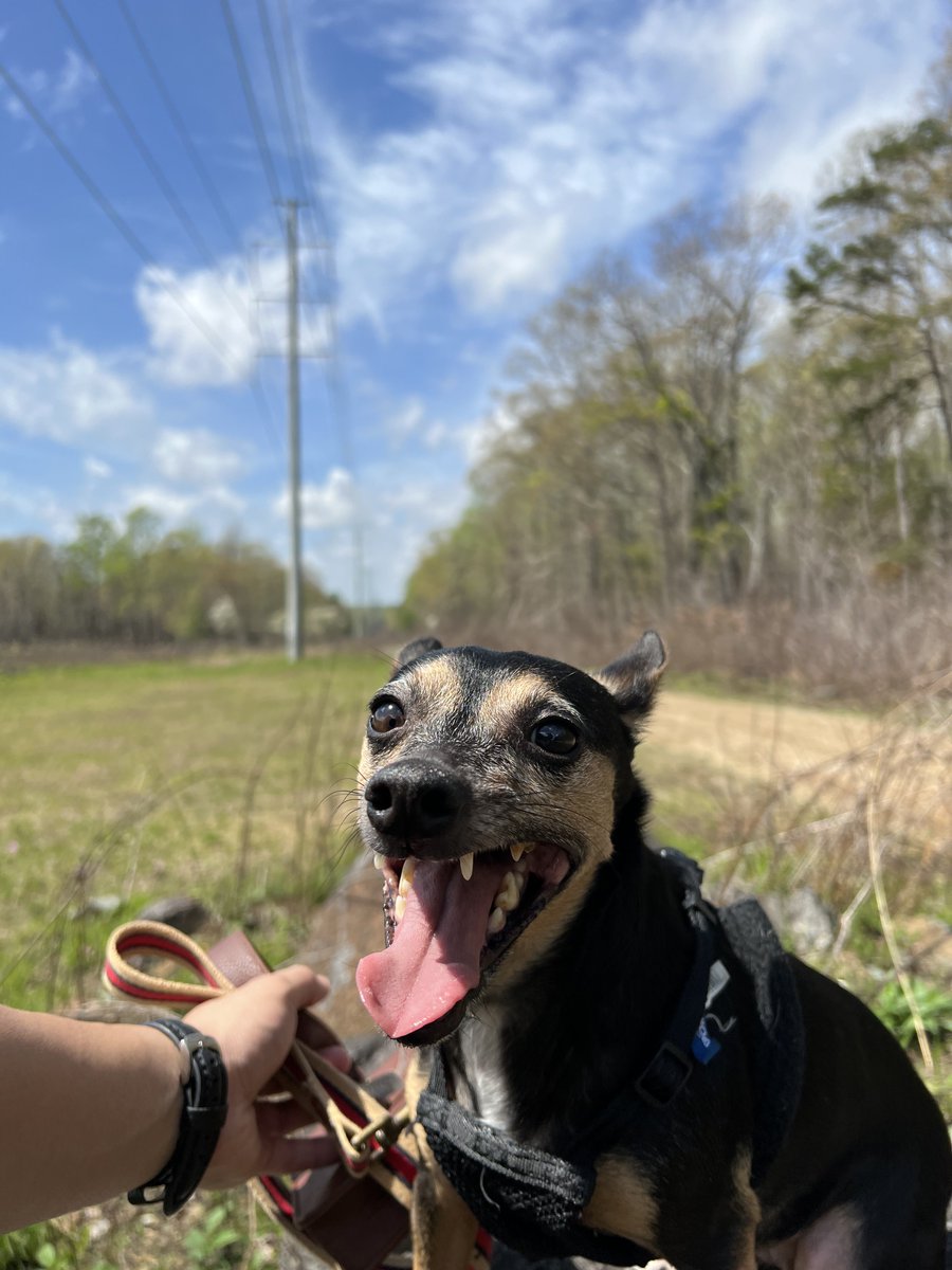 Chosun4ever tweet media