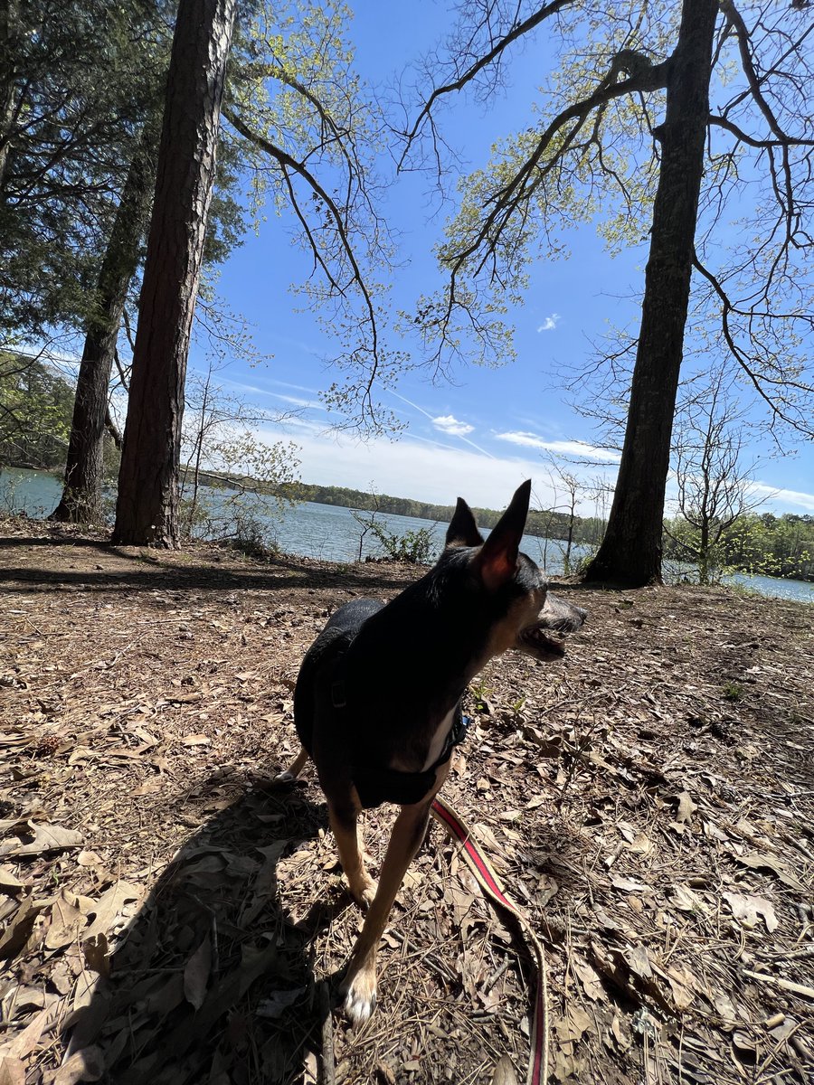 Chosun4ever tweet media