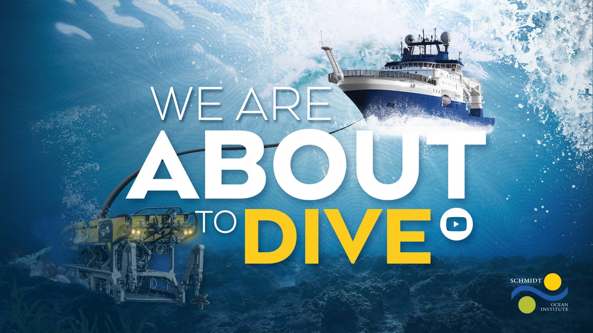SchmidtOcean's tweet photo. ROV SuBastian #Divestream coming soon! Join the #DiagnosingDeepCoral team on Facebook and YouTube. https://t.co/eaTrBHN37j