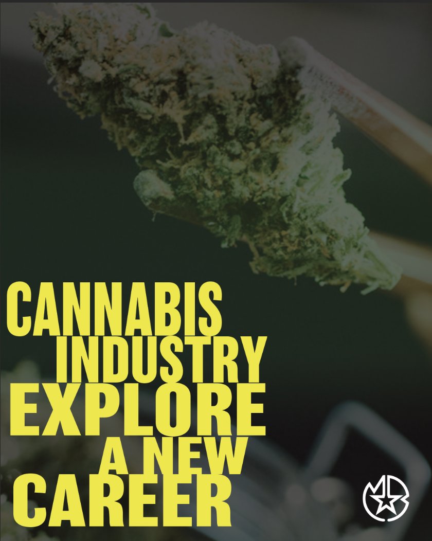 MakingABrand's tweet photo. Happy 420 Day! Today is a day to celebrate the benefits and culture of cannabis, as well as reflect on its growing impact on the job market. Sign up today to learn more https://t.co/N8tZZHEZnx
#cannabis #weed #marijuana #cannabisculture #thc #budtender #cannabisfundamentals https://t.co/DInugdryTq