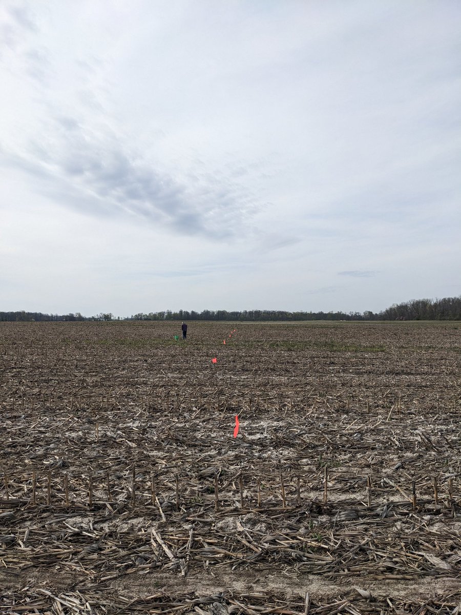 a_mosmith's tweet photo. First soil sampling date of this 2023 for our precision N project 🌽🌱
Our character building season started! 💪🏼
Thanks to my hardworking team and our mentor @PurdueCorn. He is always making sure we have everything we need to do a good job🙏🏼💯 https://t.co/YKj4QTMS6g