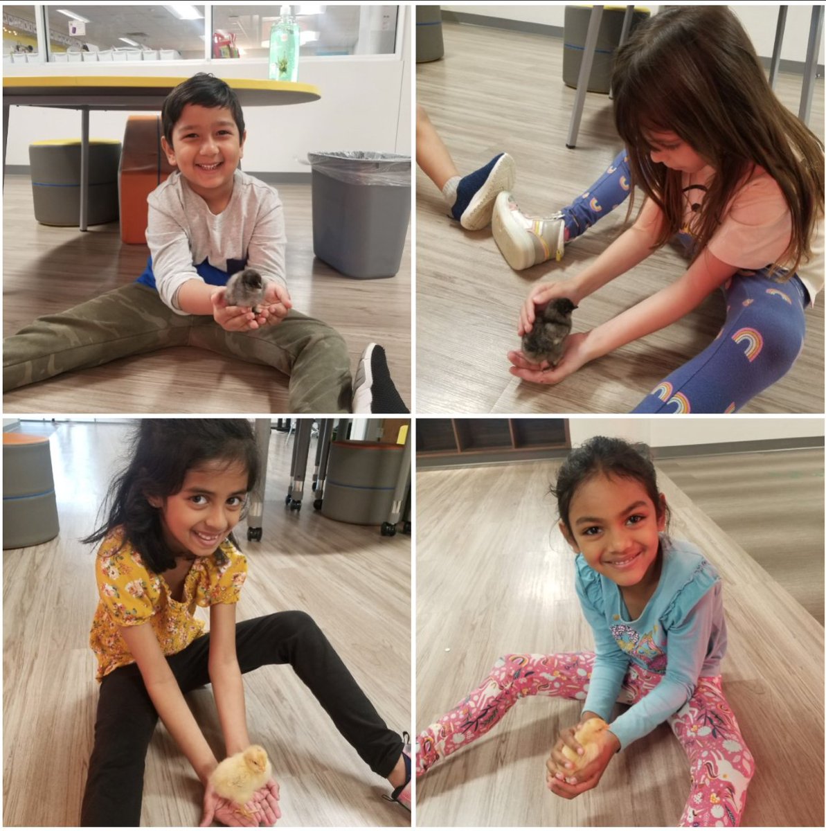 MsKruegerCRE's tweet photo. GKB got to finally meet the newest members of Green House today! https://t.co/0Qc8tGVEus