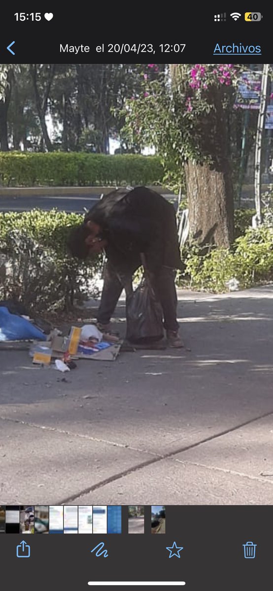 Cd. Jardín Coyoacan tweet media