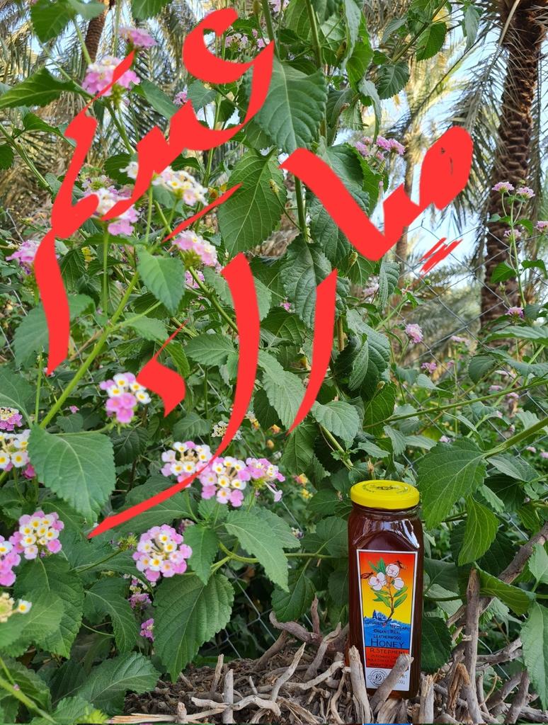goldennectar1's tweet photo. #عيد_الفطر_المبارك

لكل متابعينا ومن اعجبهم منتجنا المميز 😋 https://t.co/CQFqla0Ihp
