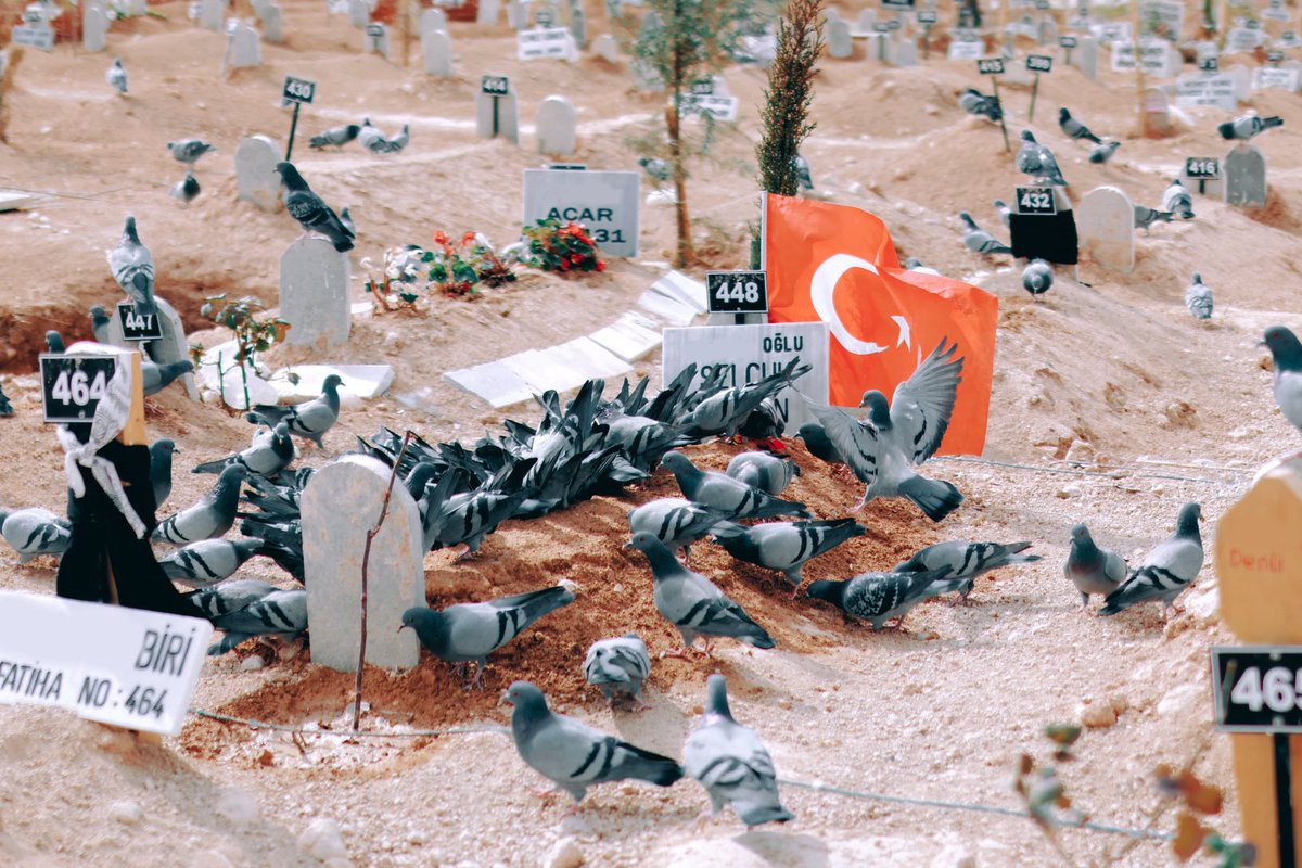hataylifilozof's tweet photo. Bayram gelmiş neyime… #Hatay https://t.co/390Bcui0Ug
