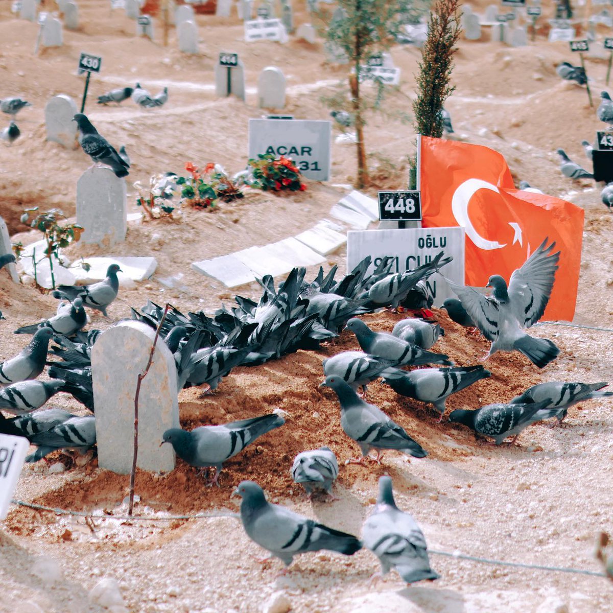 solcugazete's tweet photo. Bayram, sizin gittiğiniz gün gelecek memlekete. https://t.co/m8uAzgkmbC