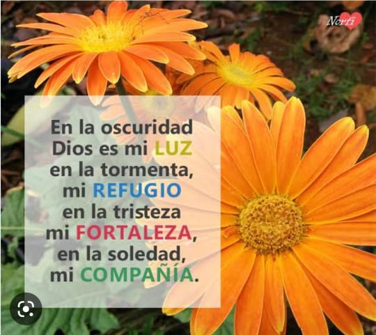 Aml5418P30's tweet photo. #FelizJueves ✨🌹 https://t.co/cXODufKUFL