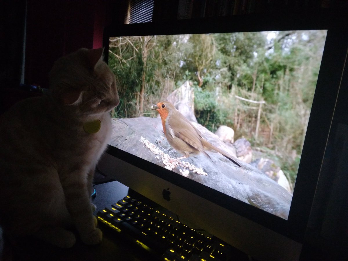 mark walters tweet media