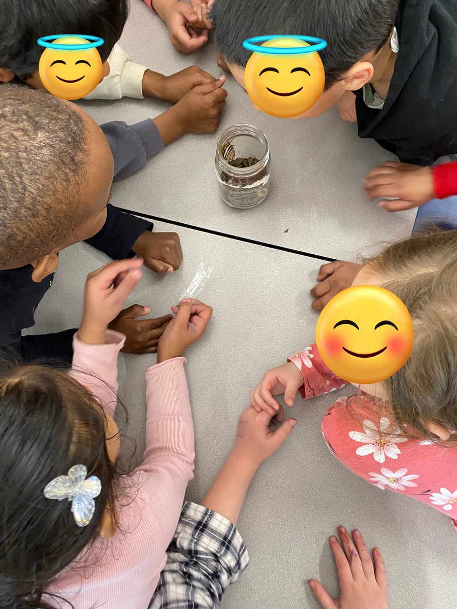 I so enjoy the time that I get to spend with my friends in kindie each week. There’s always something fascinating to learn about and explore!