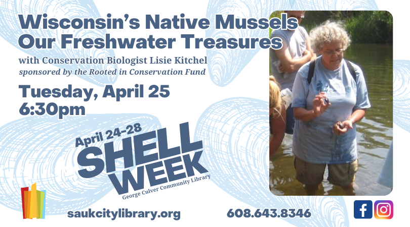 SaukCityLib's tweet photo. Biologist Lisie Kitchel will present WI's Native Mussels: our Freshwater treasures on Tues, Apr. 25 at 6:30pm. Mussels are often endangered, nearly half of WI's species are at risk. Learn about mussels and local restoration efforts. Sponsored by the Rooted in Conservation Fund. https://t.co/l0Hji5nNaE