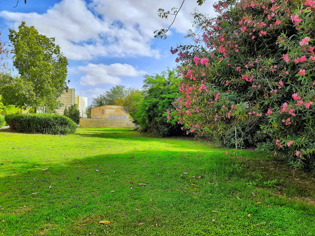poddar_nanda's tweet photo. The goal of life is living in agreement with nature. Environment outside of our Environmental Physics Department, BIDR, Ben-Gurion University of the Negev.
#NaturePhotography
@bidrBGU 
@bengurionu 
@BGU_Intl https://t.co/fL2JmoRGq7