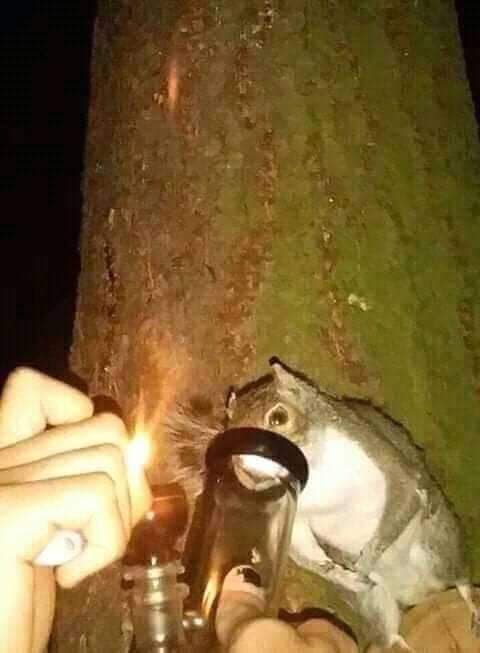 Luna 🌺 tweet media