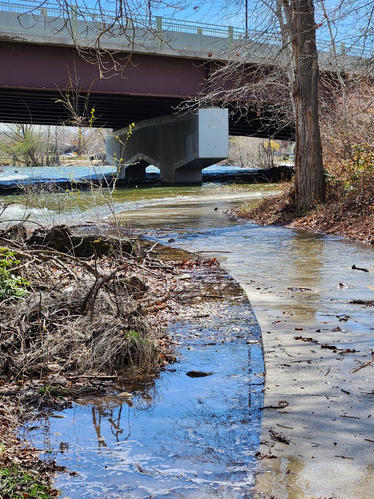 boiseparks's tweet photo. 🚫💦The Greenbelt has flooded under the West Parkcenter Bridge - this section of the pathway is now closed. Boise River flows are expected to rise even more in the coming days, so please use caution and follow all Greenbelt closure signage.
More: https://t.co/JKSYiS4rWp https://t.co/rutX1J4Qz5