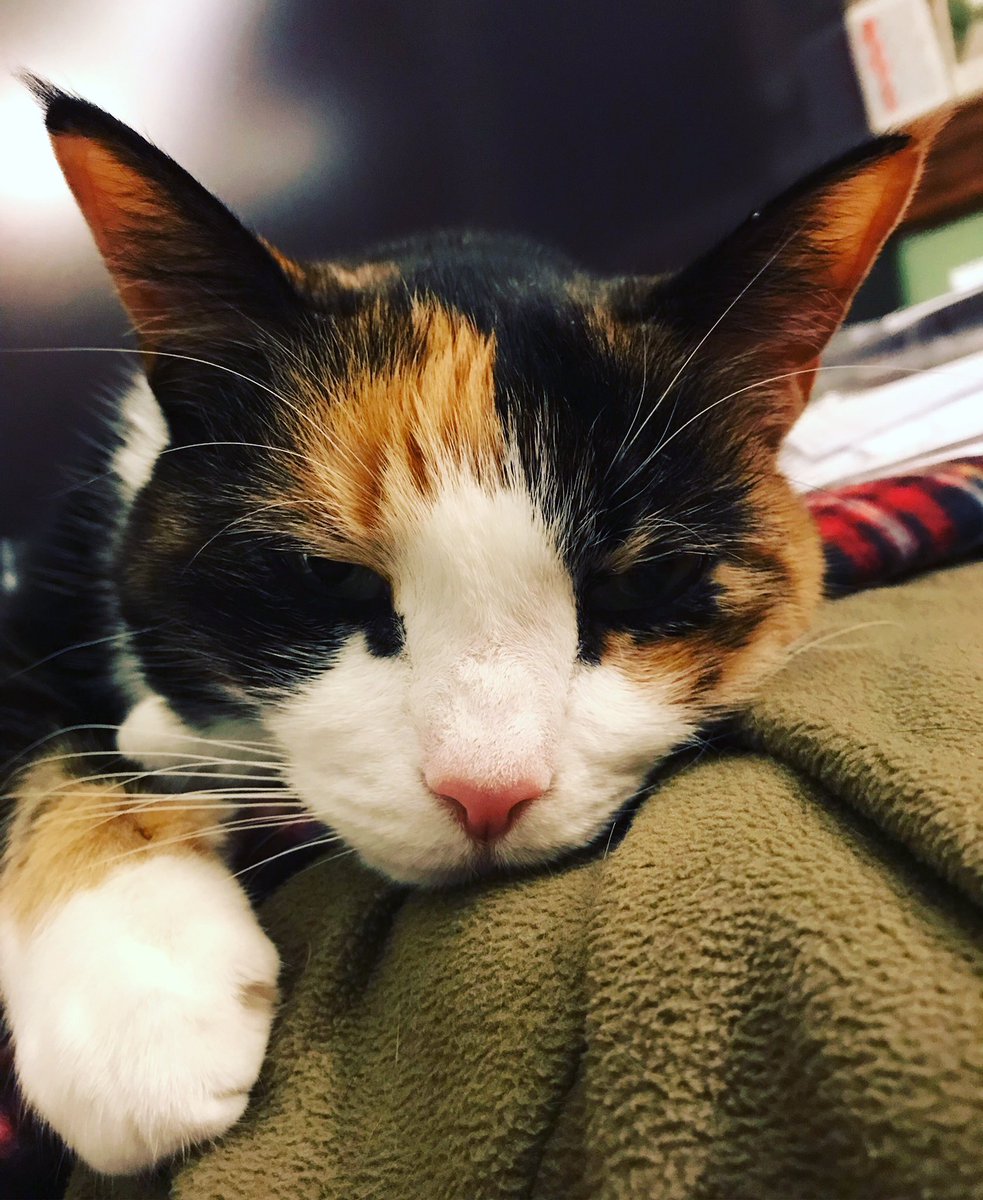 Eric J. Johnson tweet media