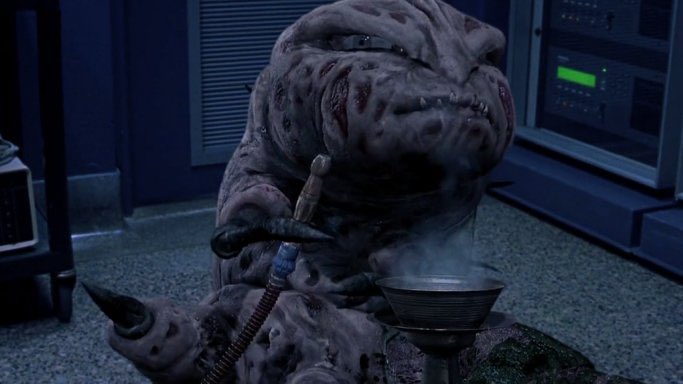 MOUNT GORE PODCAST tweet media