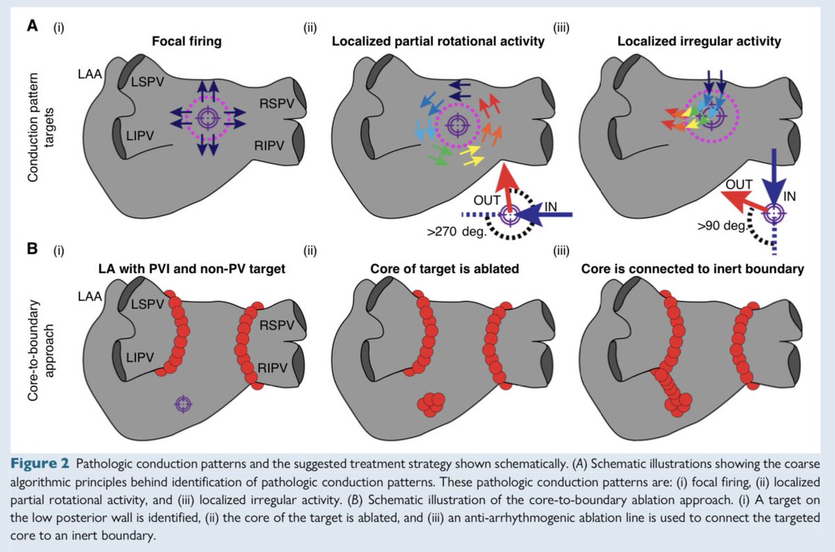 Shaojie Chen tweet media