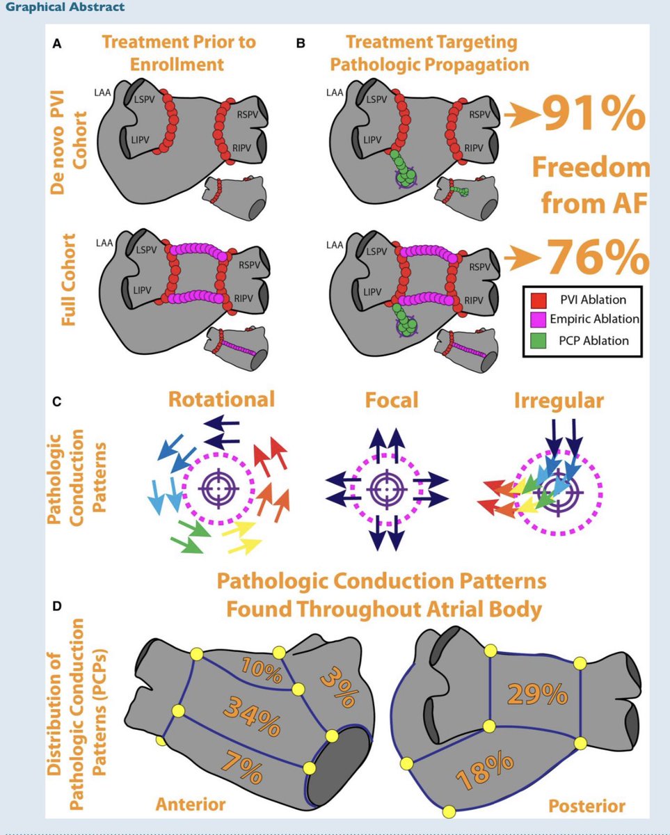 Shaojie Chen tweet media