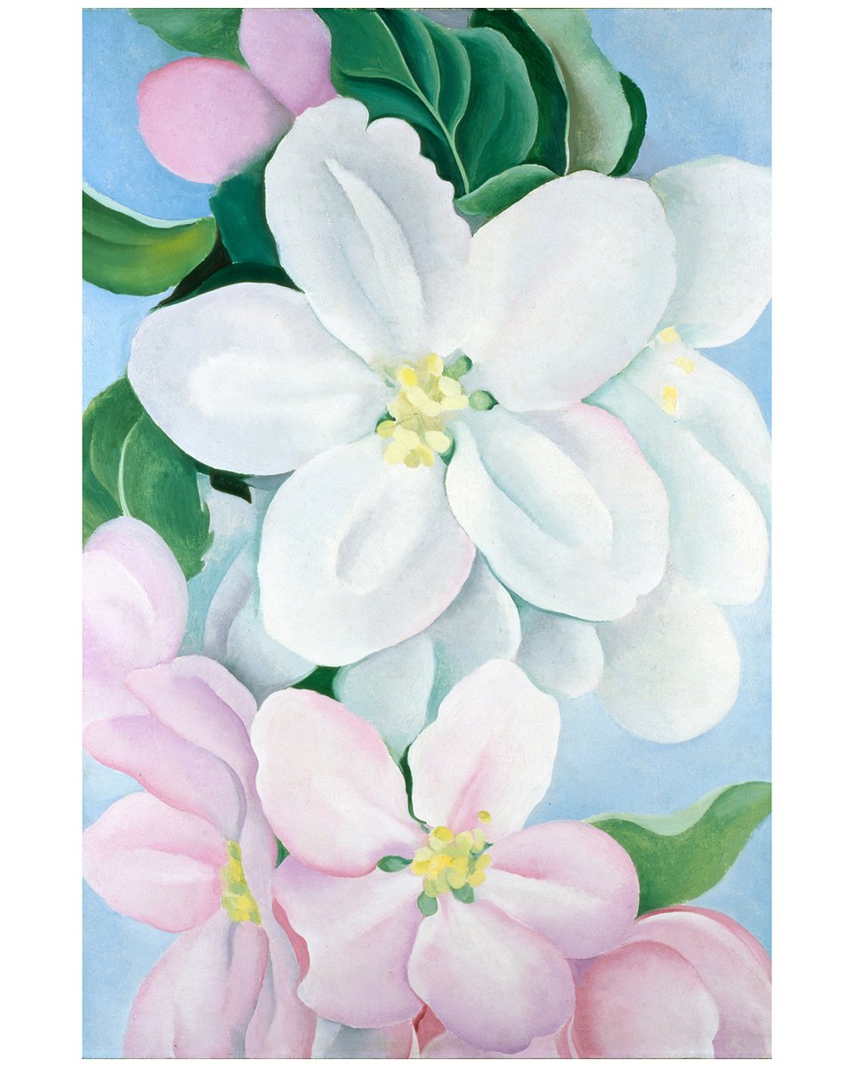 okeeffemuseum's tweet photo. Georgia O’Keeffe created over 200 paintings of flowers during her lifetime but selected the white and pink apple blossoms only three times as her subjects.

🌸 In Kansas City? See ‘Apple Blossoms, 1930’ in person at @nelson_atkins ! https://t.co/lLjs2SWPrm