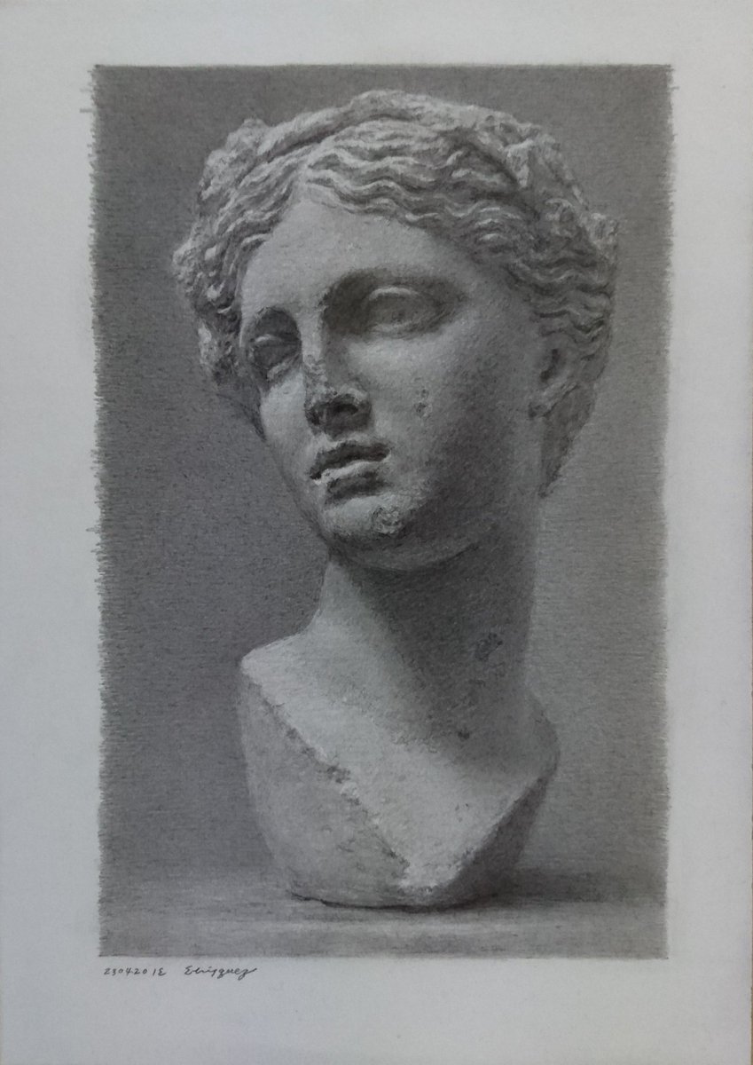 2020 A4白象紙に鉛筆【Bust of Thalia】
●プロセス 其の3∶終盤
4時間40分、5時間50分、6時間45分、10時間(完成)
明暗境界線、及び形の大きく変化する所は密度を持って表現する。細部の髪の毛等も基本、明暗の対比の強い順に描いていく。又は調子のリズムを感じ取りながら描く。形は最後まで調整。