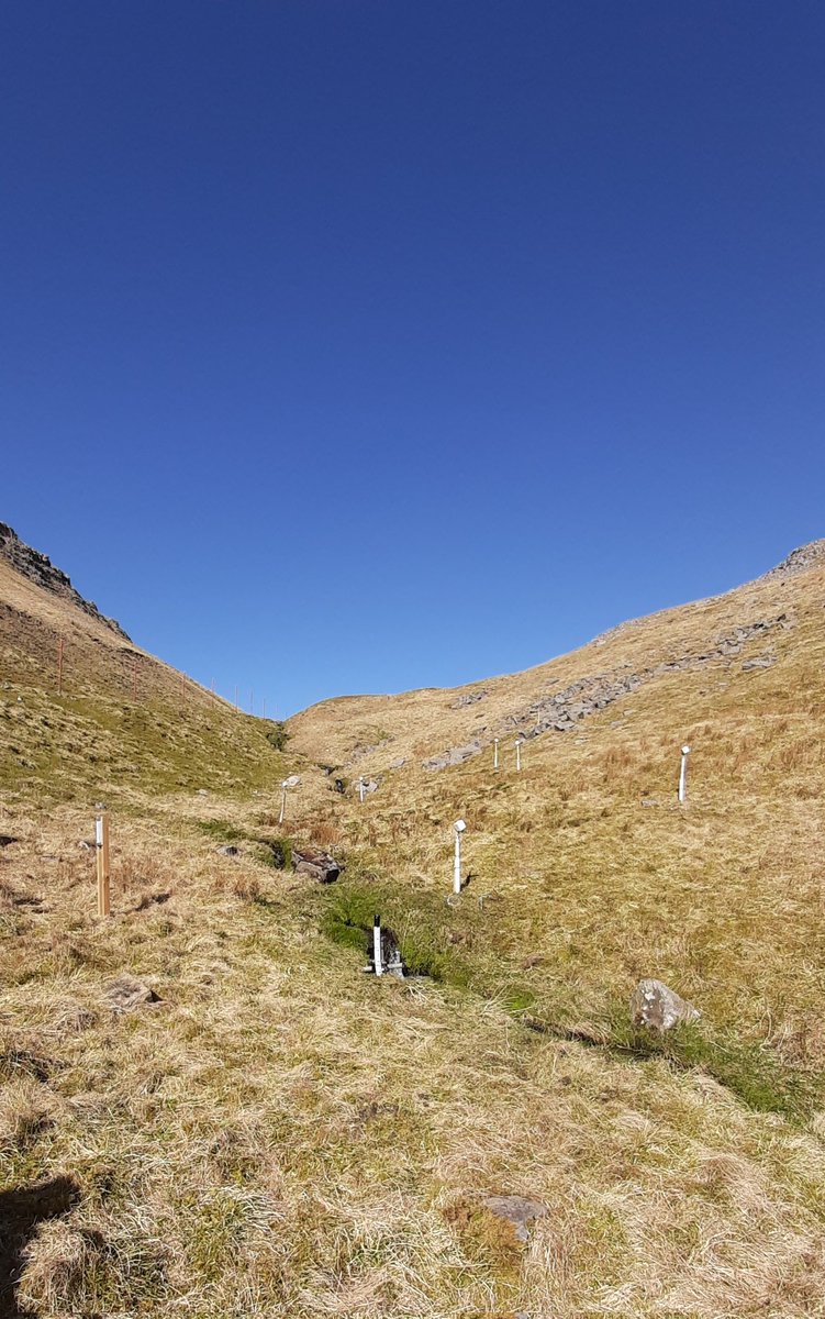 Carri Project (@carriproject) on Twitter photo The #CarriProject team finished installation and soil sampling at 2 out of 3 #riparian observation sites in #LakeDistrict. Looking forward to a second visit soon to finish the last installations. Thanks to <a href="/ProfPHaygarth/">Prof Phil Haygarth</a> <a href="/ProfJessDavies/">Jess Davies</a> for the support and great field assistance. The #CarriProject team finished installation and soil sampling at 2 out of 3 #riparian observation sites in #LakeDistrict. Looking forward to a second visit soon to finish the last installations. Thanks to <a href="/ProfPHaygarth/">Prof Phil Haygarth</a> <a href="/ProfJessDavies/">Jess Davies</a> for the support and great field assistance.
