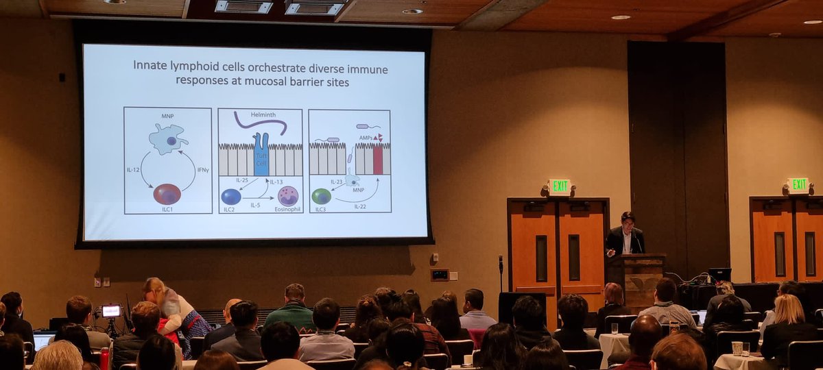 A fantastic talk by our newest MD/PhD graduate Vincent Peng @TheVincentPeng at #KSinnateimmune23 #KSMyeloid23 on ILCs in mucosal immunity @KeystoneSymp