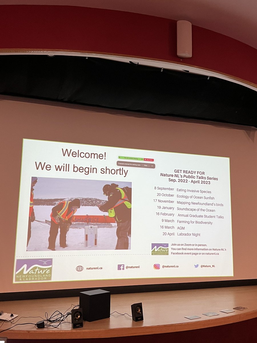 SmartICE_Arctic's tweet photo. It’s time! We hope you enjoy the presentation from Rex & Shawna. @Nature_NL @NLGEOCENTRE @ArcticPrize #labradornight #naturenl #SmartICE https://t.co/ysF4sk3EGH