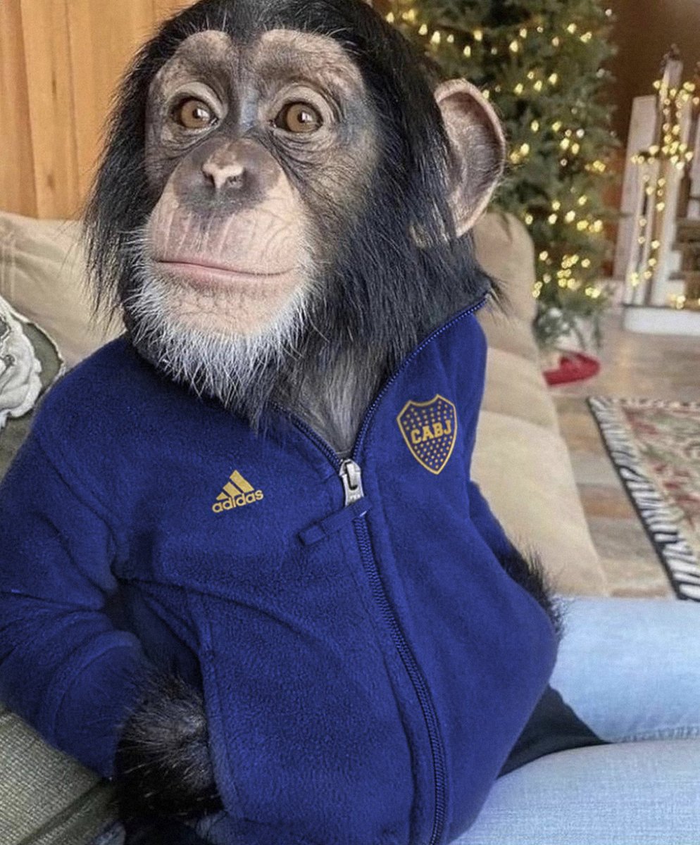 yo cuando escucho tengo fe de feid y dice “la noche tenía más estrellas que el escudo del boca”