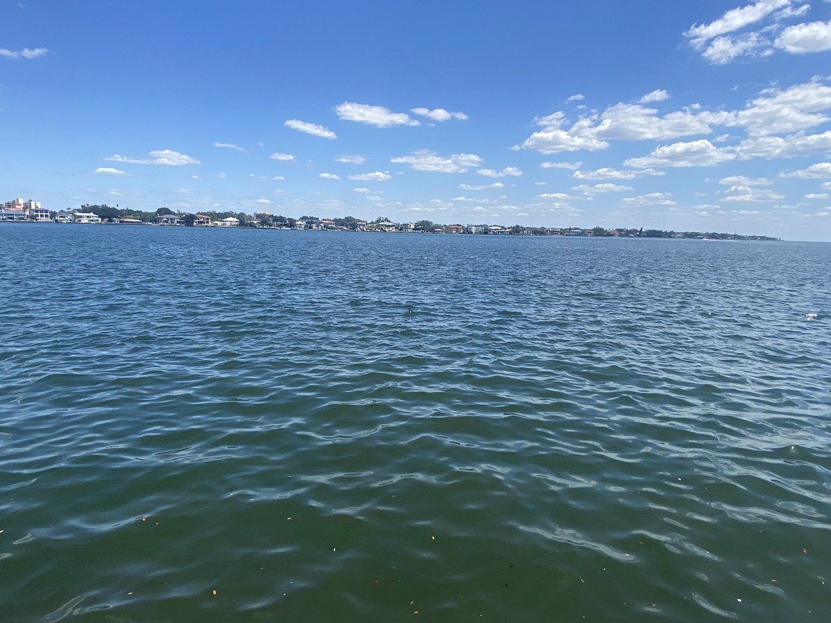 RondoFit60's tweet photo. If you are visiting the downtown Tampa area from out of town and want a great place to run and work out, I highly suggest Bayshore Boulevard. itβs a great place for a run with some really amazing views. #visittampa #Tampa #runtampa #travelblog #running #whoop #saucony #healthy https://t.co/OvmXQdOPLK