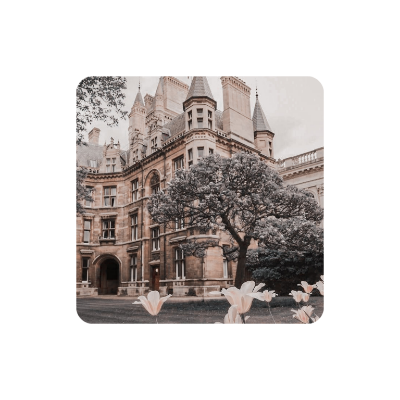  𝓗𝗢𝗣𝗘. tweet media
