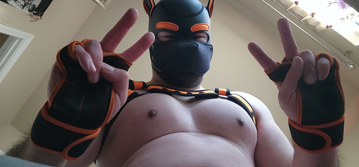 AfterAshen's tweet photo. what i wear during workout 🐶 https://t.co/eVuWQhObHQ