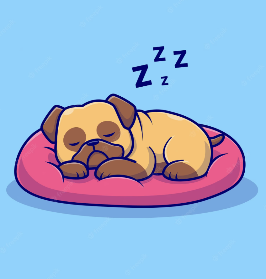 PUG_Solana's tweet photo. 🐶 Good night, $PUGAI family!

Tomorrow will be big, get ready for it!

First 50 Retweets and comments $PUGAI will be considered for the lucky 200 #airdrop spots! https://t.co/0Tt3f551q9