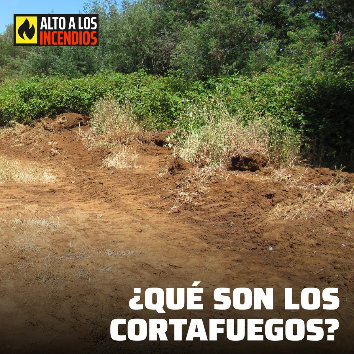 ¿Qué son los CORTAFUEGOS?
 
Son fajas de terreno donde se corta vegetación y raspa el suelo para que no se propaguen las llamas.
 
Los y las brigadistas de empresas forestales trabajan todo el año construyéndolos 💪🏻 
 
❗️Ayudemos a que se mantengan limpios y DESOCUPADOS❗️