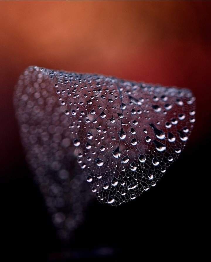 THCUGeHwuQsy23I's tweet image. اللهم إغفر لنا ما مضى و أصلح لنا ما بقى و اكتب لنا رضاك و عفوك و الجنة ، اللهم لا تختم رمضان إلا و قد رفعت أسمائنا في صحائف العتقاء ، آمين.
🥀تصبحون على حلم طال انتظاره🥀